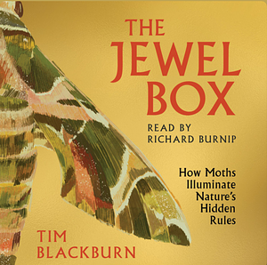 The Jewel Box: How Moths Illuminate Nature's Hidden Rules by Tim Blackburn