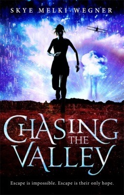 Chasing the Valley by Skye Melki-Wegner