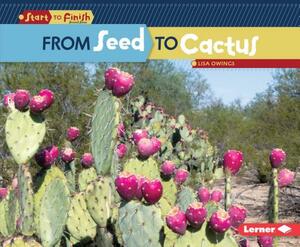 From Seed to Cactus by Lisa Owings