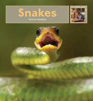 Snakes by Valerie Bodden