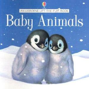 Baby Animals Flap Book by Alastair Smith, Phillip Clarke