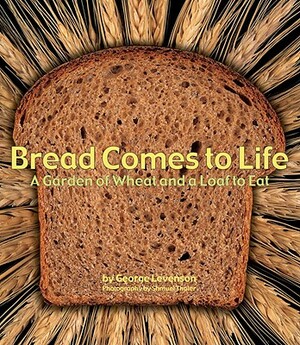 Bread Comes to Life: A Garden of Wheat and a Loaf to Eat by George Levenson