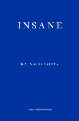 Insane by Rainald Goetz