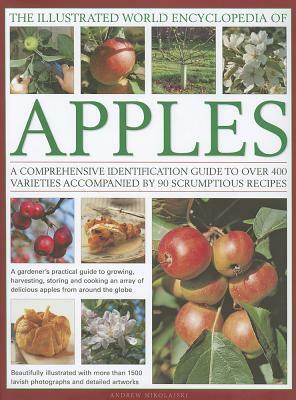 The Illustrated World Encyclopedia of Apples: A Comprehensive Identification Guide to Over 400 Varieties Accompanied by 60 Scrumptious Recipes by Andrew Mikolajski