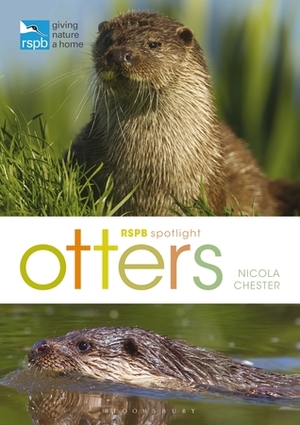 RSPB Spotlight: Otters by Nicola Chester