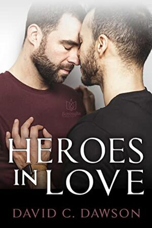 Heroes in Love by David C. Dawson