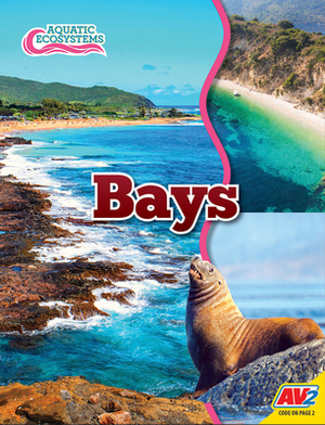 Bays by John Willis