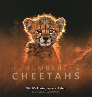 Remembering Cheetahs by Margot Raggett, Wildlife Photographers United