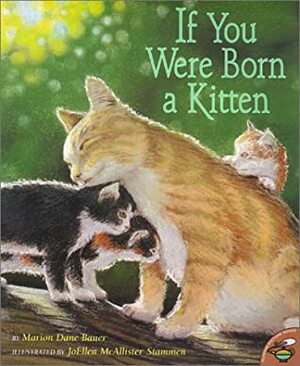 If You Were Born a Kitten by Marion Dane Bauer, Joellen McAllister Stammen