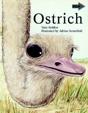 Ostrich South African Edition by Tony Seddon