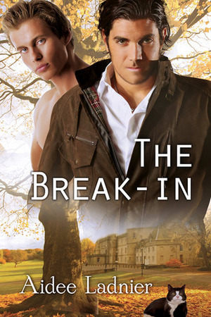 The Break-in by Aidee Ladnier