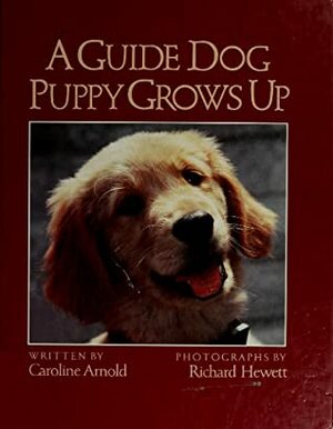 A Guide Dog Puppy Grows Up by Caroline Arnold