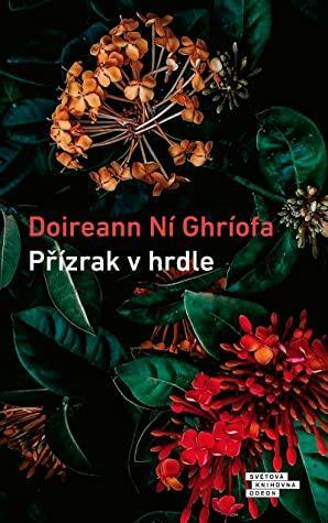Přízrak v hrdle by Doireann Ní Ghríofa