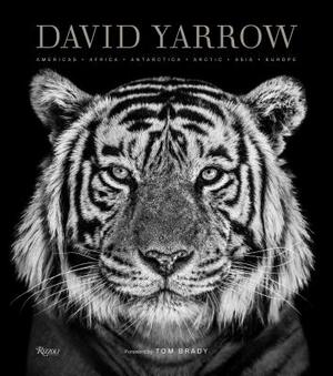 David Yarrow Photography: Americas Africa Antarctica Arctic Asia Europe by David Yarrow