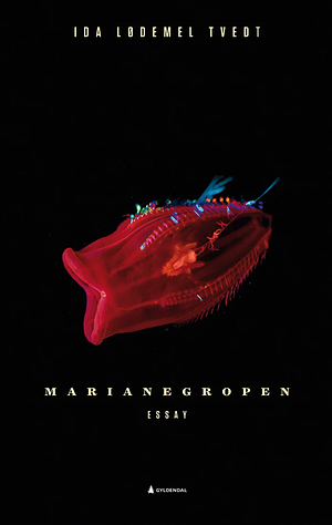 Marianegropen by Ida Lødemel Tvedt