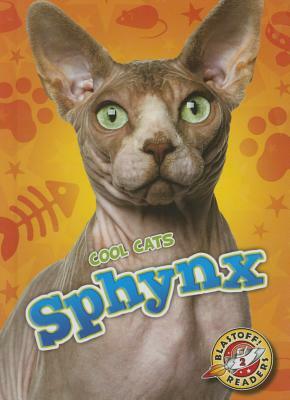 Sphynx by Rebecca Felix