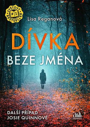 Dívka beze jména by Lisa Regan