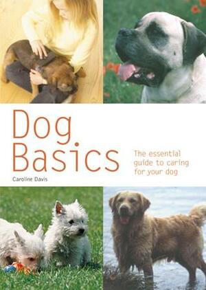 Dog Basics: The Essential Guide to Caring for Your Dog by Caroline Davis