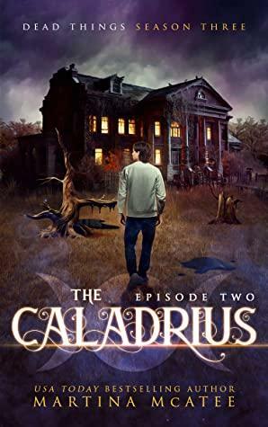 The Caladrius by Martina McAtee