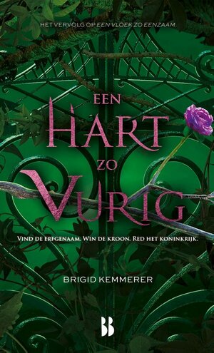 Een Hart zo Vurig by Brigid Kemmerer