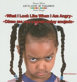 What I Look Like When I Am Angry/Como Me Veo Cuando Estoy Enojado by Heidi Leigh Johansen