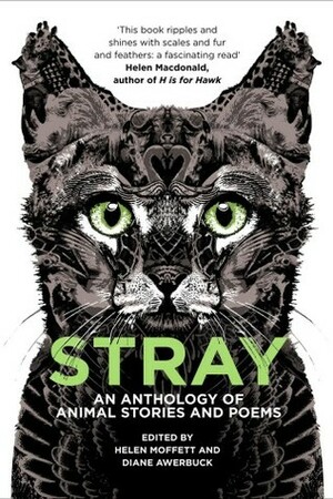 Stray: An Anthology of Animal Stories and Poems by Helen Moffett, Diane Awerbuck, Sally Partridge, Richard de Nooy