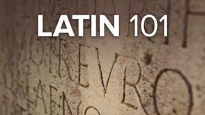 Latin 101: Learning a Classical Language by Hans-Friedrich Mueller