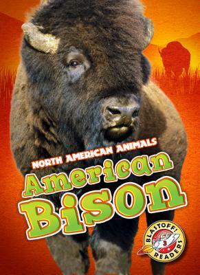 American Bison by Chris Bowman