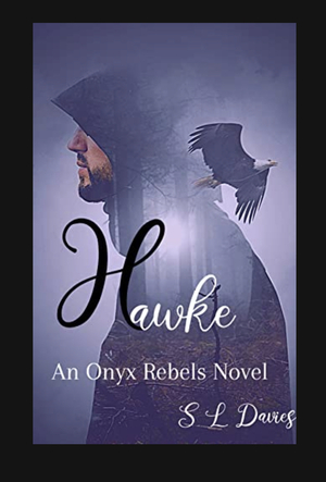 Hawke by S. L. Davies