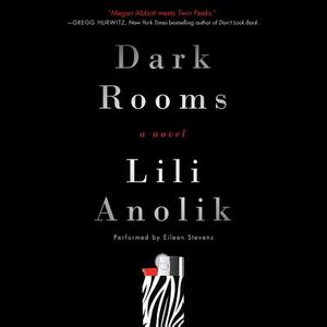 Dark Rooms by Lili Anolik