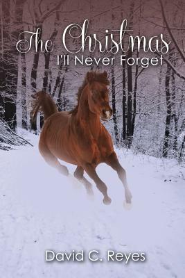 The Christmas I'll Never Forget by David Reyes