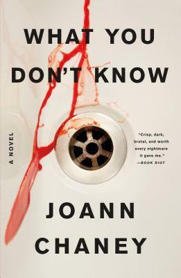 What You Don't Know: A Novel by JoAnn Chaney