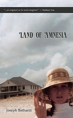 Land of Amnesia by Joseph Bathanti