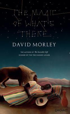 The Magic of What's There by David Morley