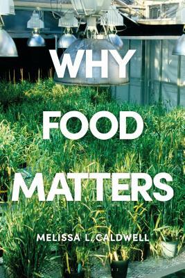 Why Food Matters: Critical Debates in Food Studies by 