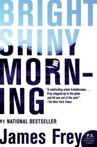 Bright Shiny Morning by James Frey