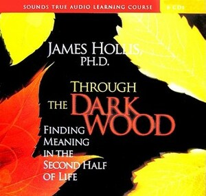 Finding Meaning in the Second Half of Life: How to Finally, Really Grow Up by James Hollis