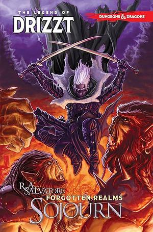 Dungeons & Dragons: The Legend of Drizzt Volume 3 - Sojourn by R.A. Salvatore, R.A. Salvatore, Tim Seeley, Andrew Dabb