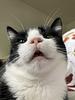 alina21's profile picture
