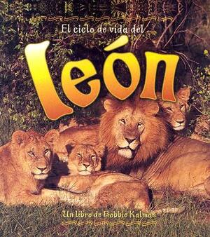 El Ciclo de Vida del Leon = Life Cycle of a Lion by Amanda Bishop, Bobbie Kalman