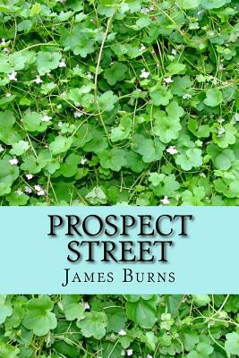 Prospect Street by James Burns