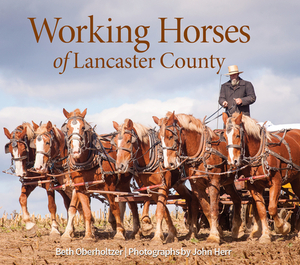 Working Horses of Lancaster County by Beth Oberholtzer
