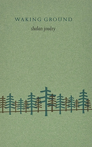 Waking Ground by shalan joudry