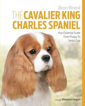 The Cavalier King Charles: Your Essential Guide from Puppy to Senior Dog by Maryann Hogan