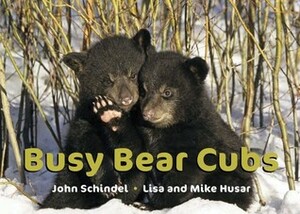 Busy Bear Cubs by Lisa Husar, Mike Husar, John Schindel
