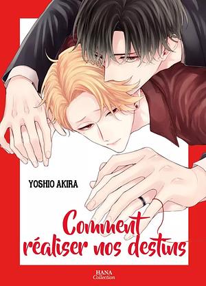 Comment réaliser nos destins by Akira Yoshio