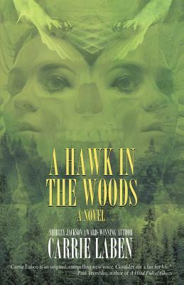 A Hawk in the Woods by Carrie Laben