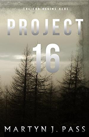 Project - 16 by Martyn J. Pass