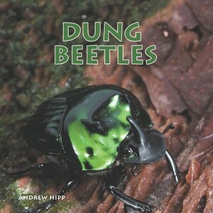 Dung Beetles by Andrew Hipp