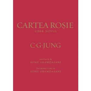 Cartea Rosie: Liber Novus by C.G. Jung